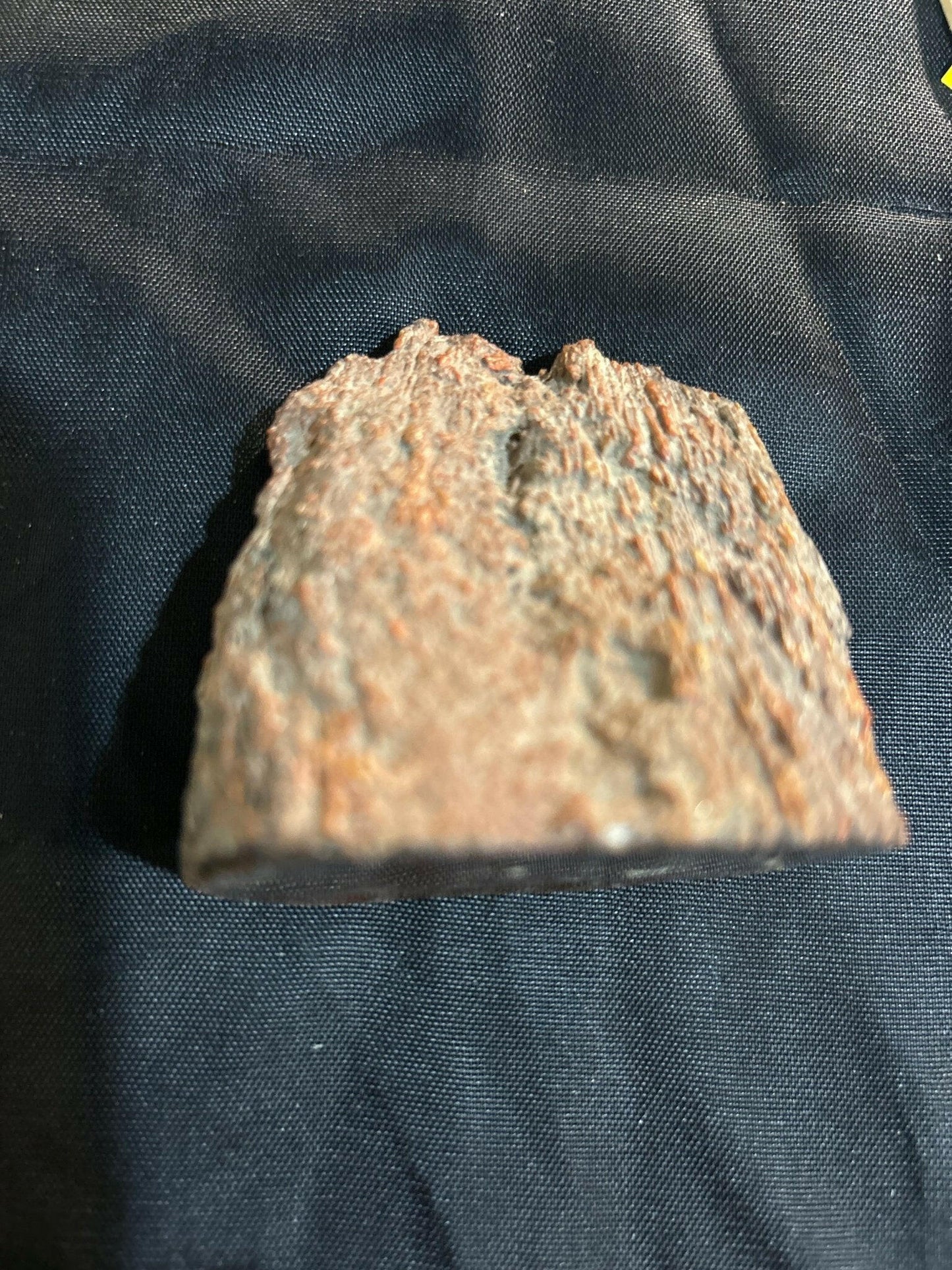 Henry Mountain Dinosaur Bone - S.s Desert Treasures
