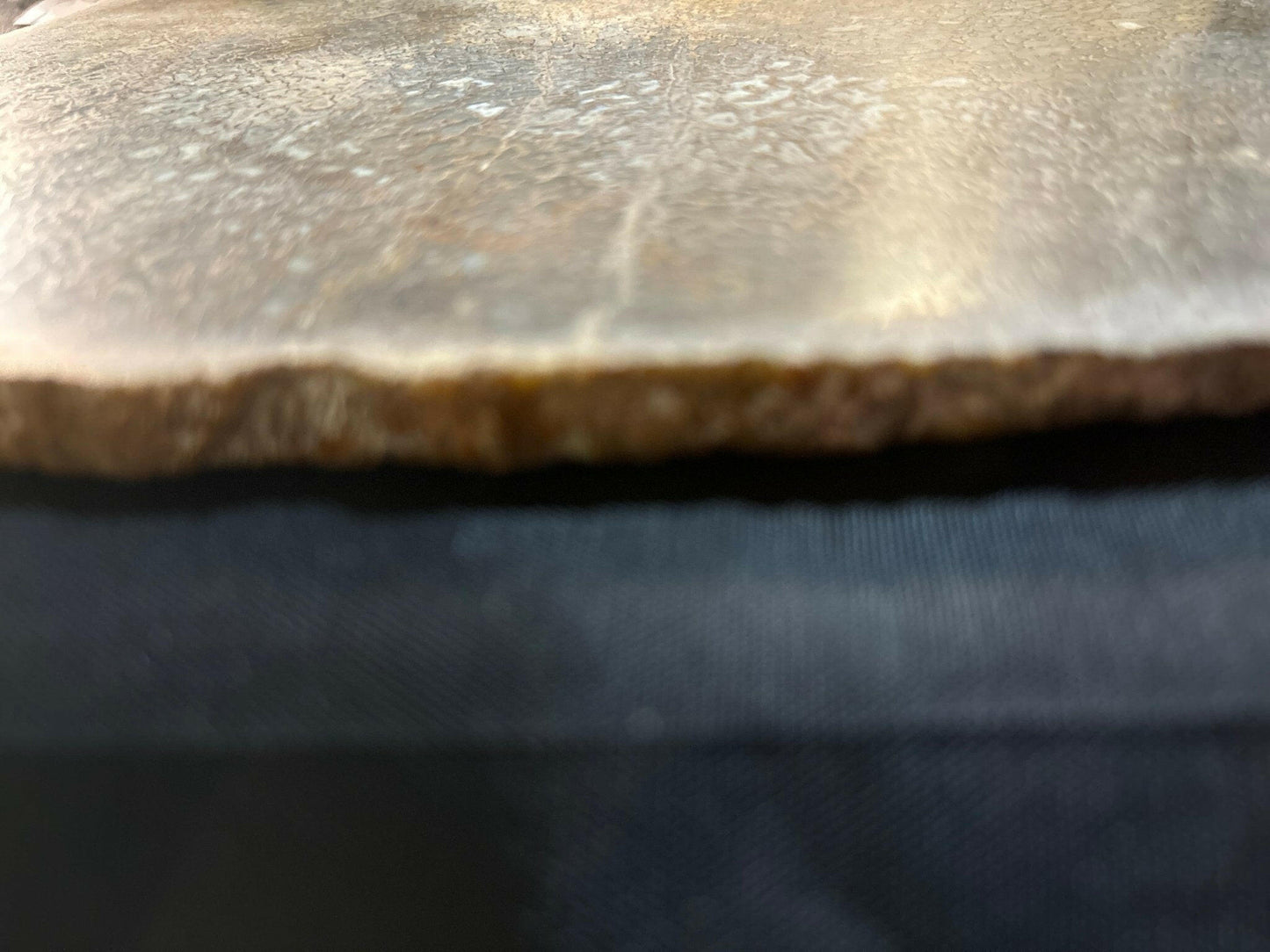 Henry Mountain Dinosaur Bone - S.s Desert Treasures