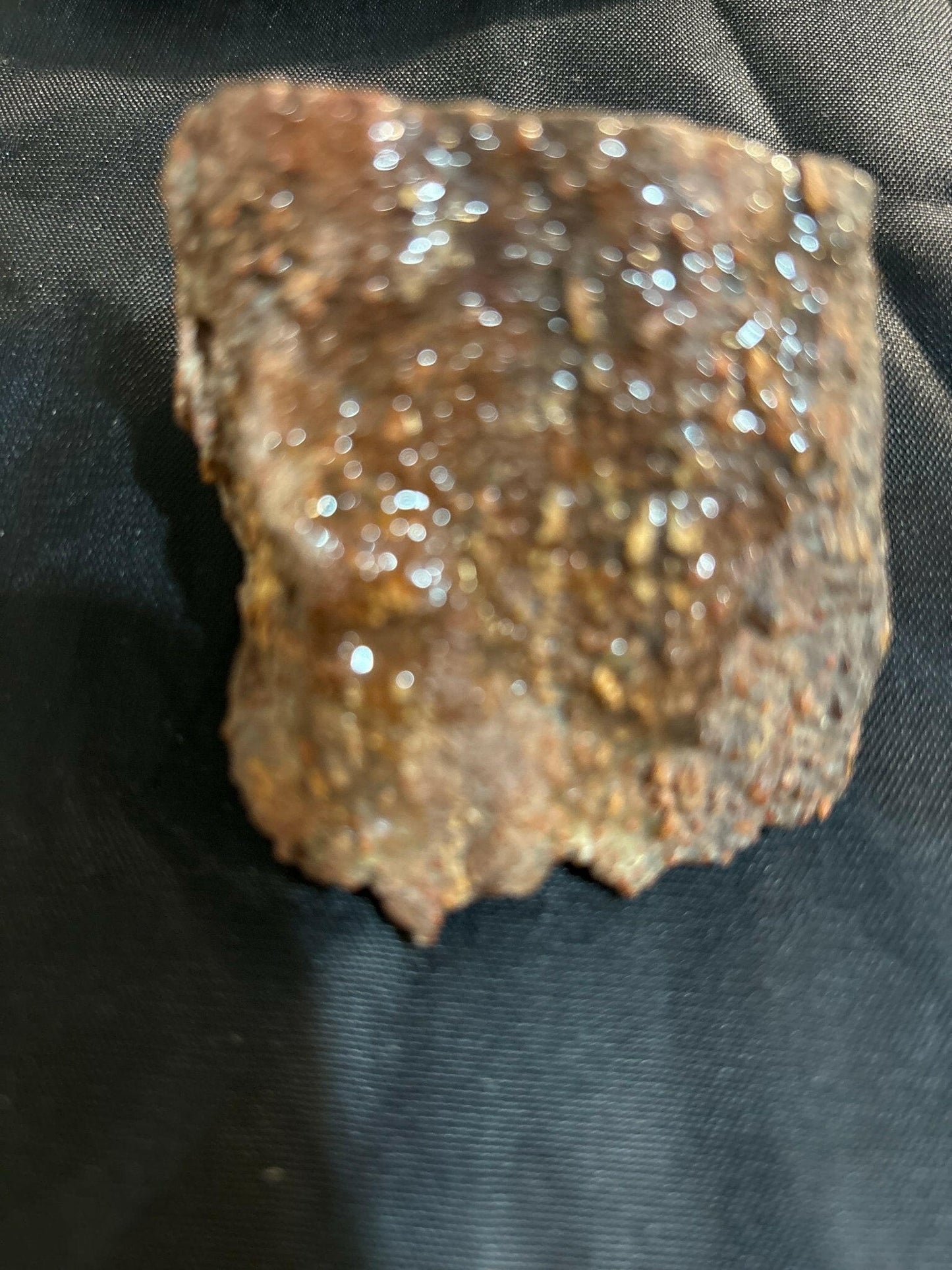 Henry Mountain Dinosaur Bone - S.s Desert Treasures