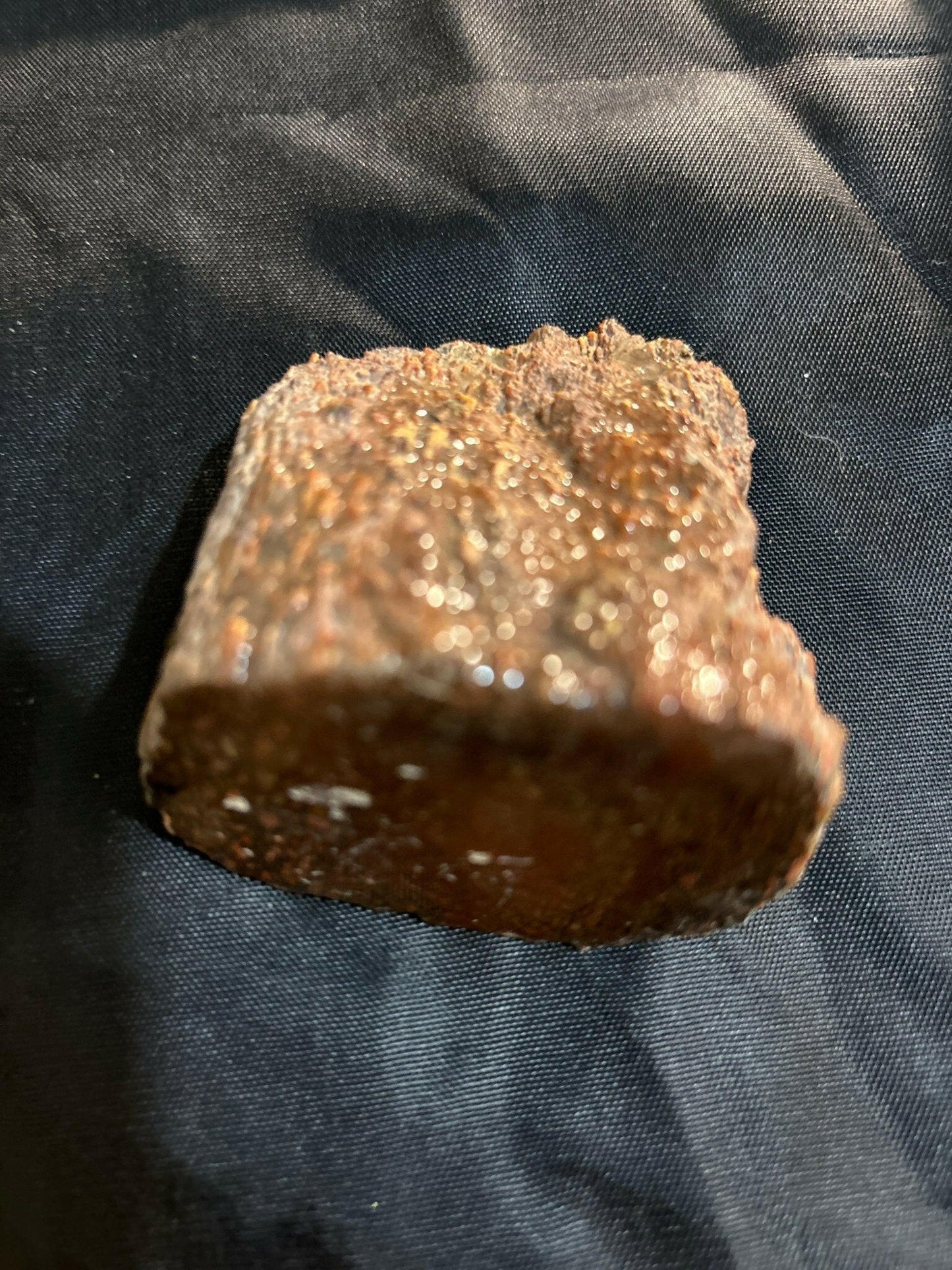 Henry Mountain Dinosaur Bone - S.s Desert Treasures