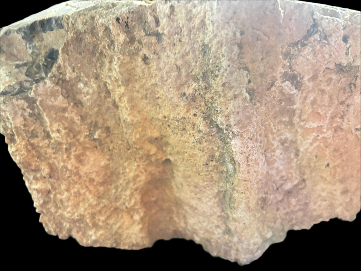 Polished Henry Mountain Utah Petrified Crystal Wood 23 pound Jurassic Period - S.s Desert Treasures