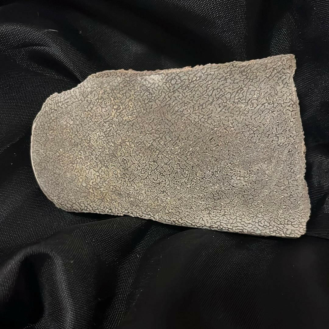 S.s Desert Treasures Dinosaur Bone Polished 280 grams - S.s Desert Treasures