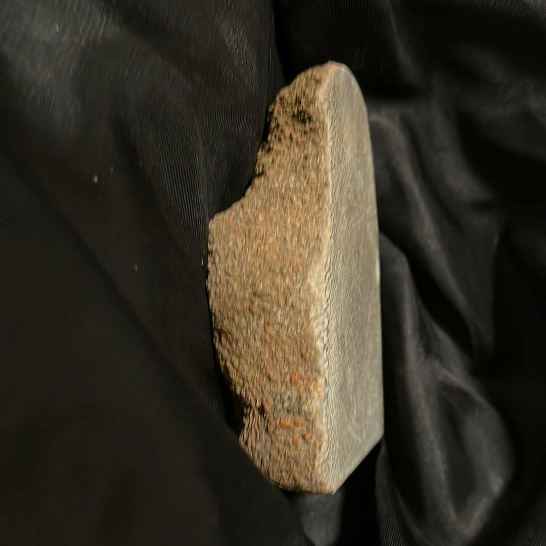 S.s Desert Treasures Dinosaur Bone Polished 280 grams - S.s Desert Treasures