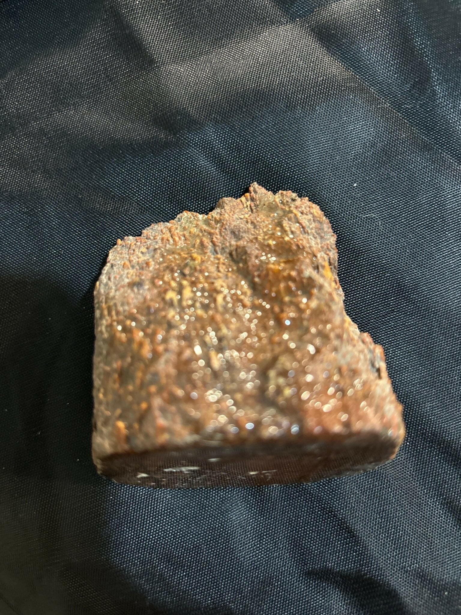 Henry Mountain Dinosaur Bone - S.s Desert Treasures 