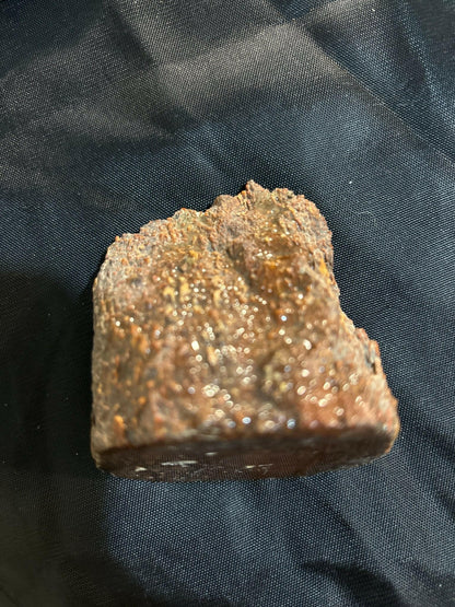 Henry Mountain Dinosaur Bone - S.s Desert Treasures 