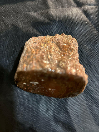 Henry Mountain Dinosaur Bone - S.s Desert Treasures 